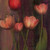 Tulips Tulips